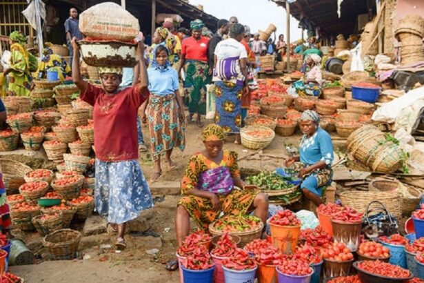 HARDSHIP: Nigerian families cut back as rising food prices squeeze incomes
