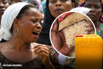 Global Inititive Food Scam