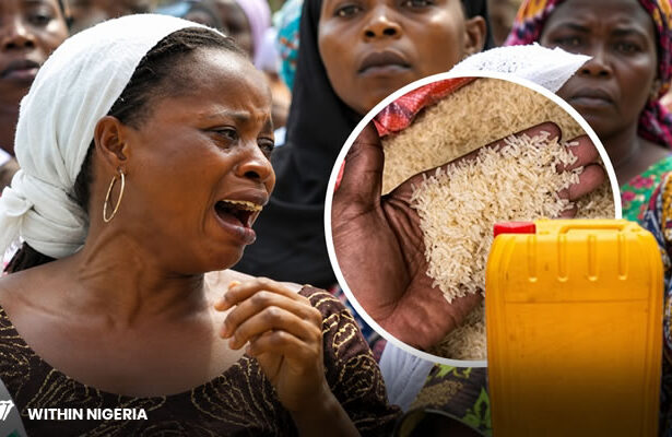 Global Inititive Food Scam