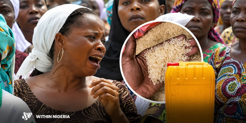 Global Inititive Food Scam