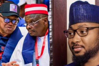 Ibrahim Hussain Abdulkarim, appointed Director-General of the NDC's Obi-Kwankwaso campaign ahead of the 2027 elections