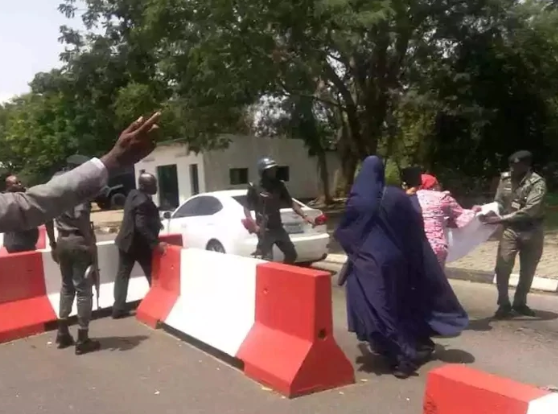 Security operatives assault Oby Ezekwesili at Aso Rock gate(photos)
