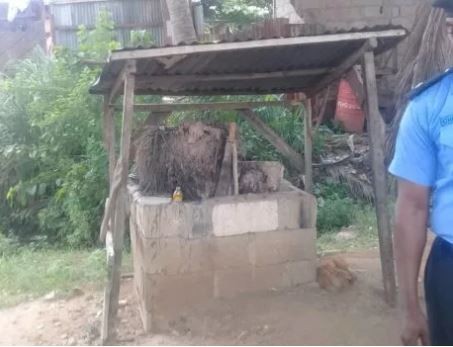 Three people arrested as Lagos State police bust OPC torture shrine under Opebi bridge (Photos)