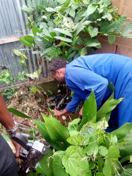 Prophet beheads his lover and buries her body in church premises (graphic photos)