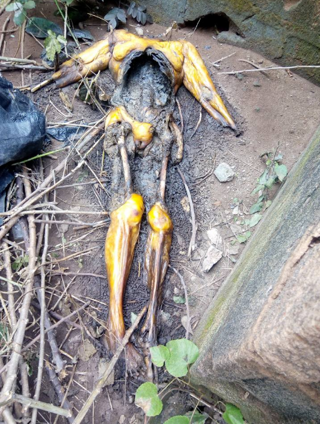 Prophet beheads his lover and buries her body in church premises (graphic photos)