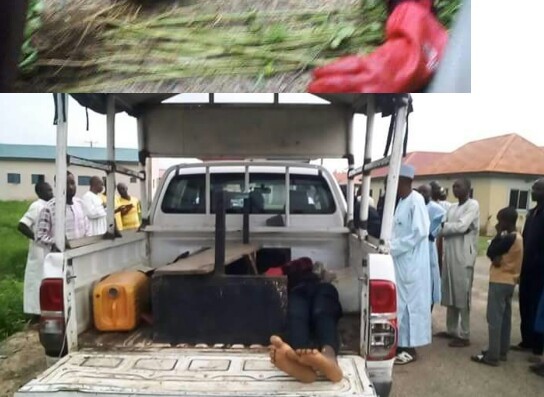 Photos: Suspected thief electrocuted while trying to steal transformer parts in Katsina