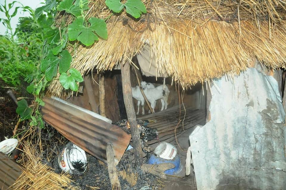 Photos: Troops storm Boko Haram hideout in Borno, rescue 21 civilians