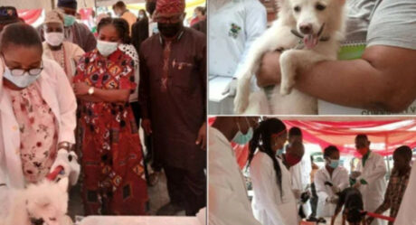 PHOTOS: Lagos state to vaccinate 1.5 million dogs for free