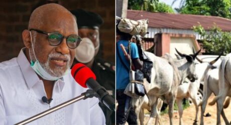 ”Any cow seen in Akure will be arrested”- Rotimi Akeredolu